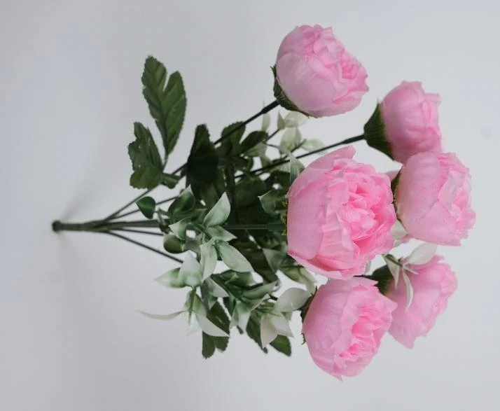 Peony Med Bunch x7